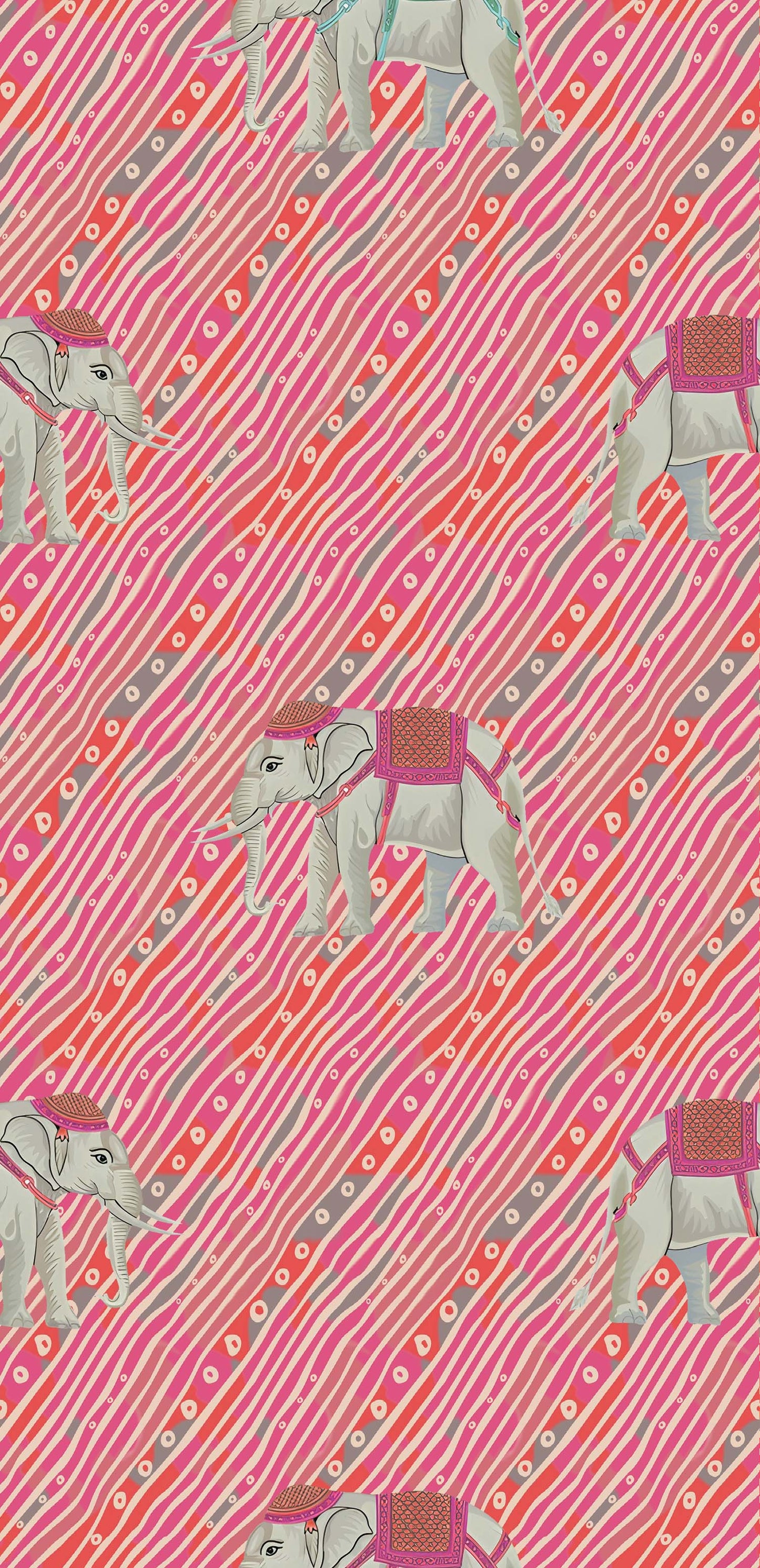 Indian Elephant Stripe Pattern - CC - 9767