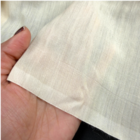 Muga Silk Fabric By The Yard | Wild Silk | Naturally Beige