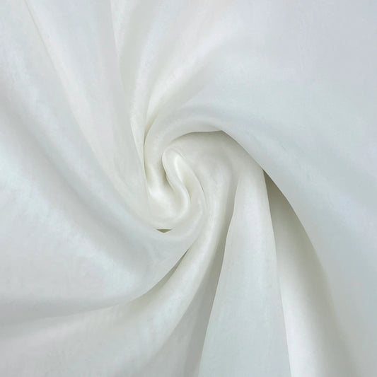 Silk Organza Modern Sheer