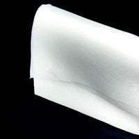 Silk Organza Modern Sheer